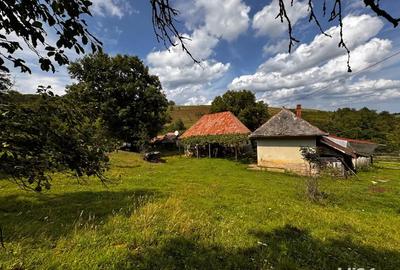 Casa de vanzare + 30.000 m teren - 5