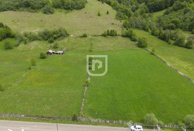 Teren de 1000 mp, în Mănăstirea Humorului