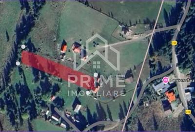 Teren de 500 mp, în Galbena - 5