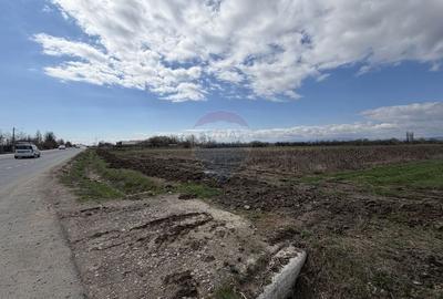 Teren agricol intravilan de 9431 mp, în Bizighești - 5