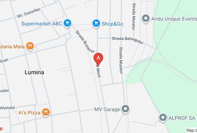 Casă individuală cu 1 camere cu Teren 700 Mp în Lumina - 2