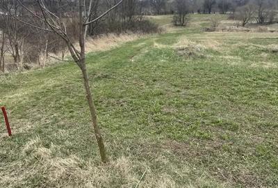 Teren de 3145 mp, în Mănăstirea Cașin - 5
