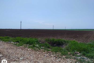 Spațiu comercial, în Limanu