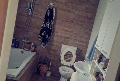 Casa noua cu mansarda si 1.24 hectare teren intravilan - 2