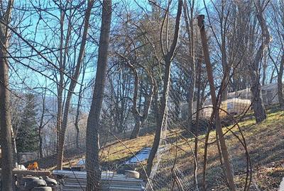 Teren de 2326 mp, în Tarcău - 7