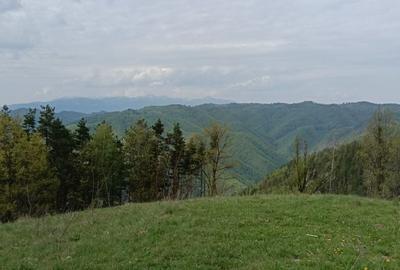 Spațiu comercial, în Luncani - 6