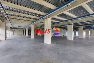 Spatiu - 600 mp #plus-imo.ro - 5