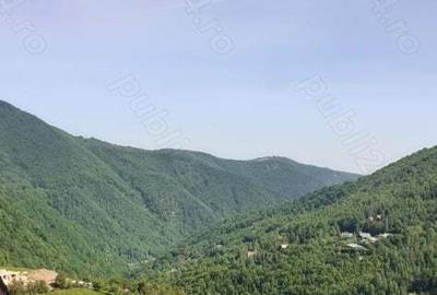 Cabana cu teren la munte - 5