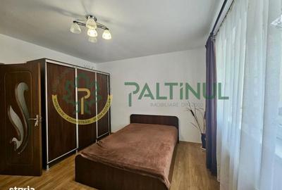 Apartament cu 2 camere decomandat, mobilat în Turnișor - 9