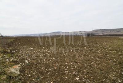 Teren intravilan industrial de vanzare in Iris, Cluj Napoca - 3