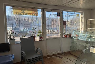 Spațiu comercial, de 50 mp, în Viile Noi - 5