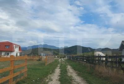 Teren de 10000 mp, în Central