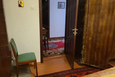 Casa si Teren Tara Lovistei Greblesti - 6