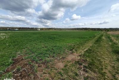 Spațiu comercial, în Balotești - 7