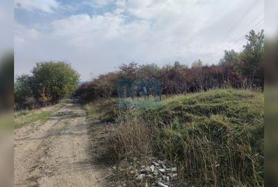 Teren agricol extravilan de 2000 mp, în Făget - 3