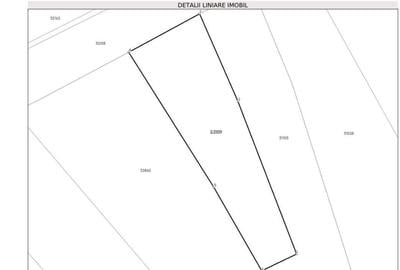 Teren intravilan de 6301 mp, în Bălnaca - 5
