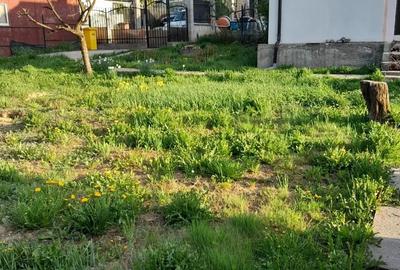 Casă cu 2 camere în Central - 4