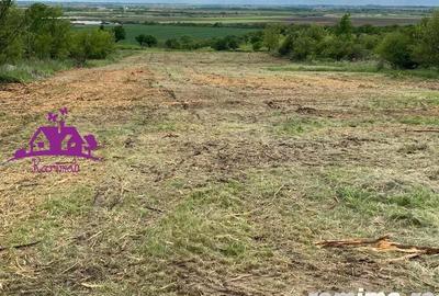 Teren extravilan zona Episcopia - 3