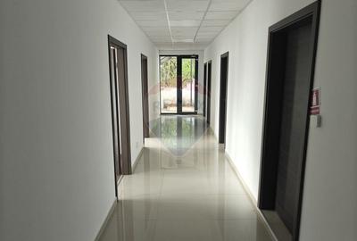 Birou, de 167 mp, în Gruia - 16