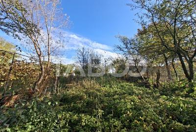 Casa cu 6 camere 720 mp teren in sat Bungard din judetul Sibiu Casa cu 6 camere 720 mp teren in sat Bungard din judetul Sibiu - 27