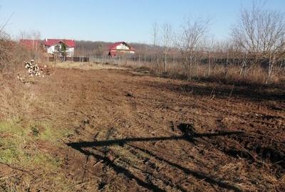 Teren Construcții intravilan de 1000 mp, în Snagov - 6