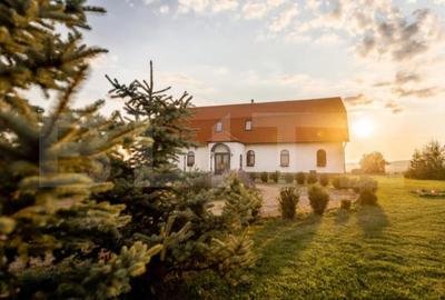 Conac de vanzare 7 camere cu bai proprii, crama, ciubar si potential - 2