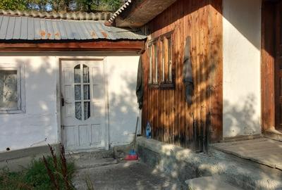 Casă cu 4 camere cu Teren 2500 Mp în Paltin - 1