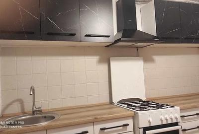 Apartament cu 2 camere semidecomandat în Boul Roșu - 8