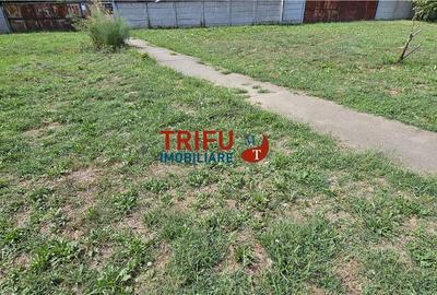 Spațiu Industrial în Alba Iulia de închiriat - 5
