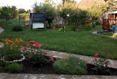 Casă cu 3 camere în Borăscu - 9