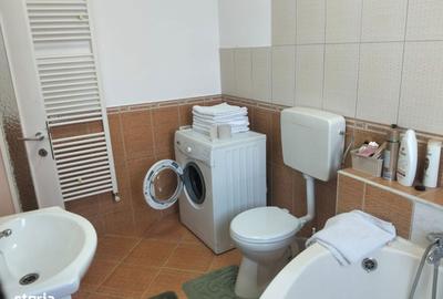 Apartament cu 2 camere în Banu Mărăcine - 3