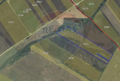 Teren de 40000 mp, în Nord - 4