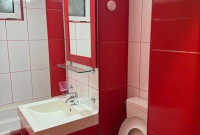 Apartament cu 2 camere semidecomandat în Banat - 8