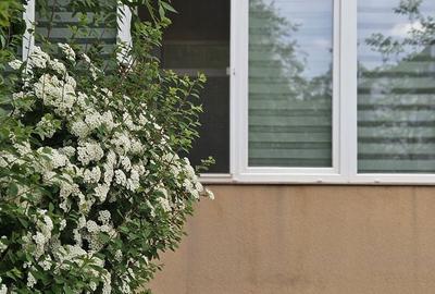 Apartament cu 2 camere decomandat în Sud - 4