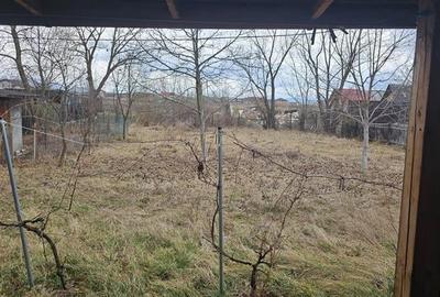 Pet friendly! Casa singura in curte, cu gradina, Sanpetru, Brasov - 4