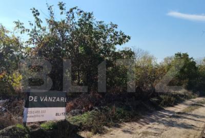 Teren intravilan, 1800 mp, zona Carcea Profi, P+2, deschider - 3