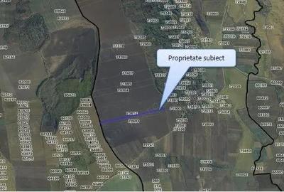 Teren Extravilan Pribesti, ID: R2774827 - 2