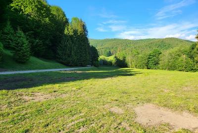 Teren de 12.000 mp la Vama Buzăului - Locație de Vis cu PUZ Aprobat - 10