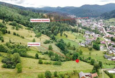 Teren 6,865mp Vorone? / Gura Humorului / Bucovina - 18