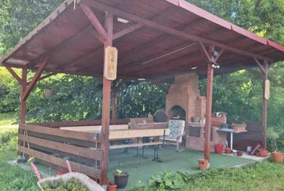 Spațiu comercial, de 400 mp, în Topleț - 10