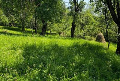 Teren de 9000 mp, în Secăria - 3