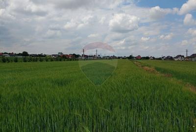 Teren intravilan de 6600 mp, în Dumbrăveni - 6