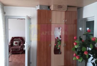 Movilita - vanzare casa 5 cam plus livada pe rod si teren 1800 mp - 30