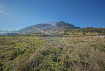 Teren Construcții intravilan de 2100 mp, în Plaiul Foii - 5