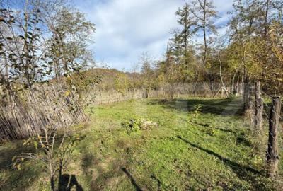 Teren intravilan 1500 mp, ideal pentru casa Iedera - 3