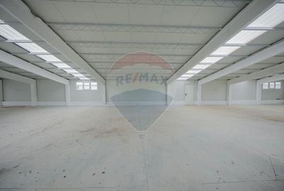Spațiu industrial, de 5,050 mp, în Palota - 12