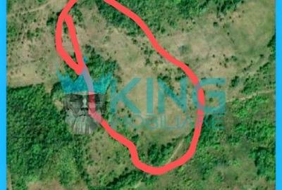 Teren agricol extravilan de 12500 mp, în Pârscov