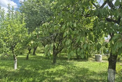 Casă cu 4 camere în Central - 2