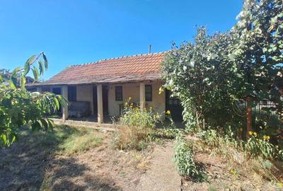 Casă cu 4 camere în Băbiciu - 6