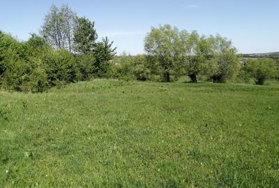 Teren de 1600 mp, în Cacica - 1